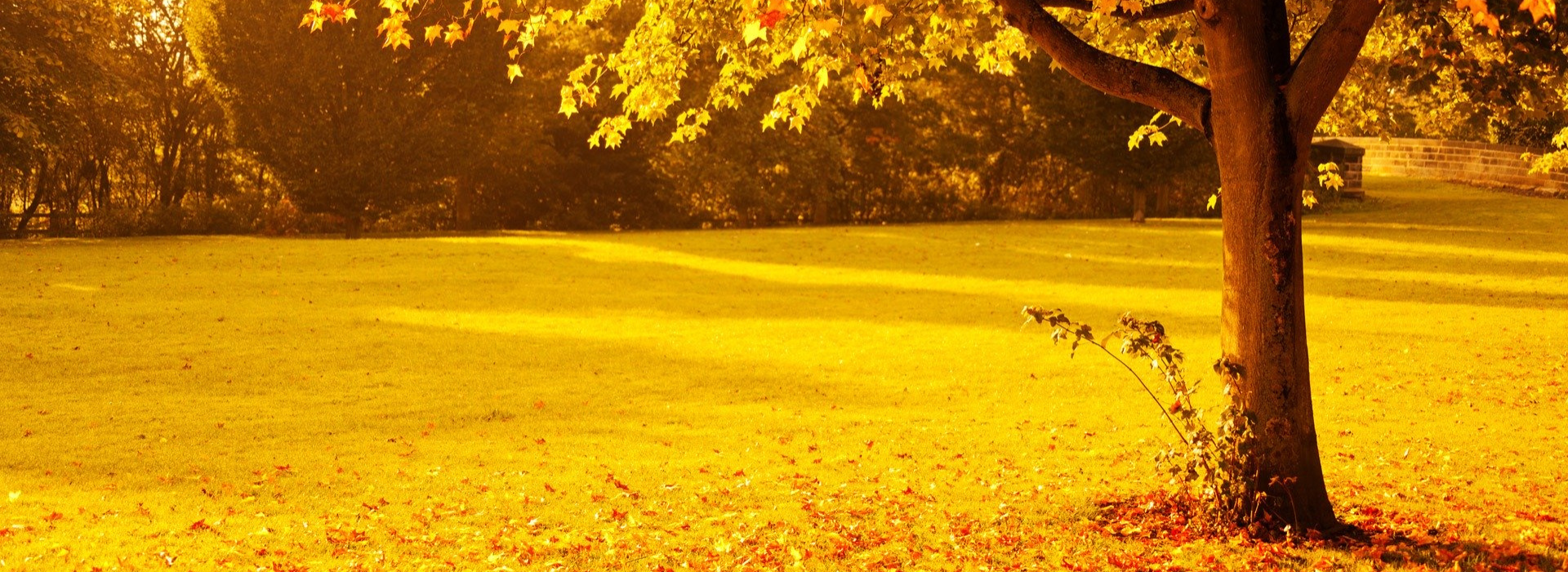 Autunno