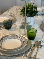 PartyBIO Greek Silver , Set di Stoviglie Monouso biodegradabili per Feste con Piatti Carta, Bicchieri Carta, Tovaglioli.