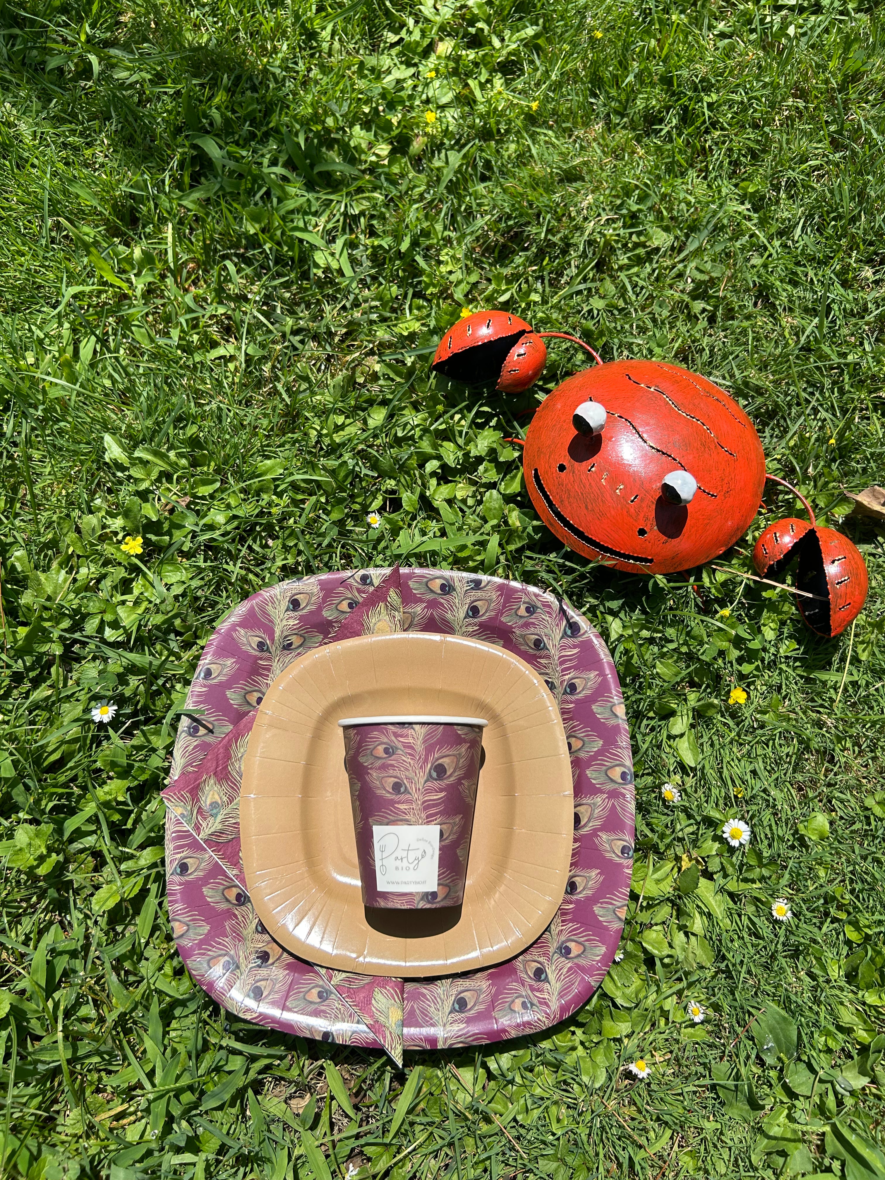 PartyBIO Pavone, Set di Stoviglie Monouso biodegradabili per Feste con Piatti Carta, Bicchieri Carta, Tovaglioli.