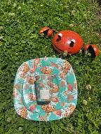 PartyBIO Perle Marine, Set di Stoviglie Monouso biodegradabili per Feste con Piatti Carta, Bicchieri Carta, Tovaglioli.